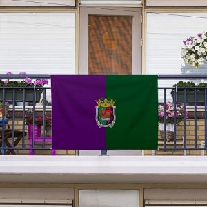 Bandera de Málaga Sin Palo 150x85cm