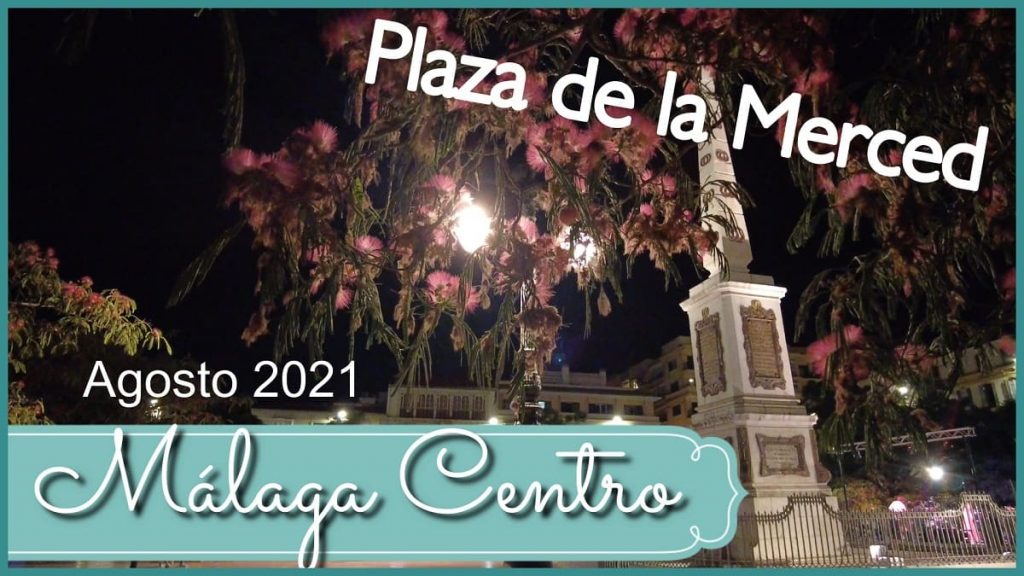 malaga centro noche